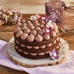 Dr. Oetker Naked Cake Schoko -Backen Verkaufsgeschäft 60 1 01 970100 6 jpg 1280x1280