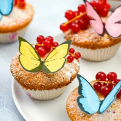 Dr. Oetker Zauberhafte Schmetterlinge