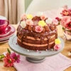 Dr. Oetker Naked Cake Schoko