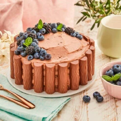 Dr. Oetker Naked Cake Schoko -Backen Verkaufsgeschäft R KleineSchokoBeerenTorte 101970100 1500x1500 jpg 1280x1280