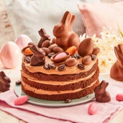 Dr. Oetker Naked Cake Schoko -Backen Verkaufsgeschäft R KleineSchokoMokkaTorte 101970100 1500x1500 jpg 1280x1280